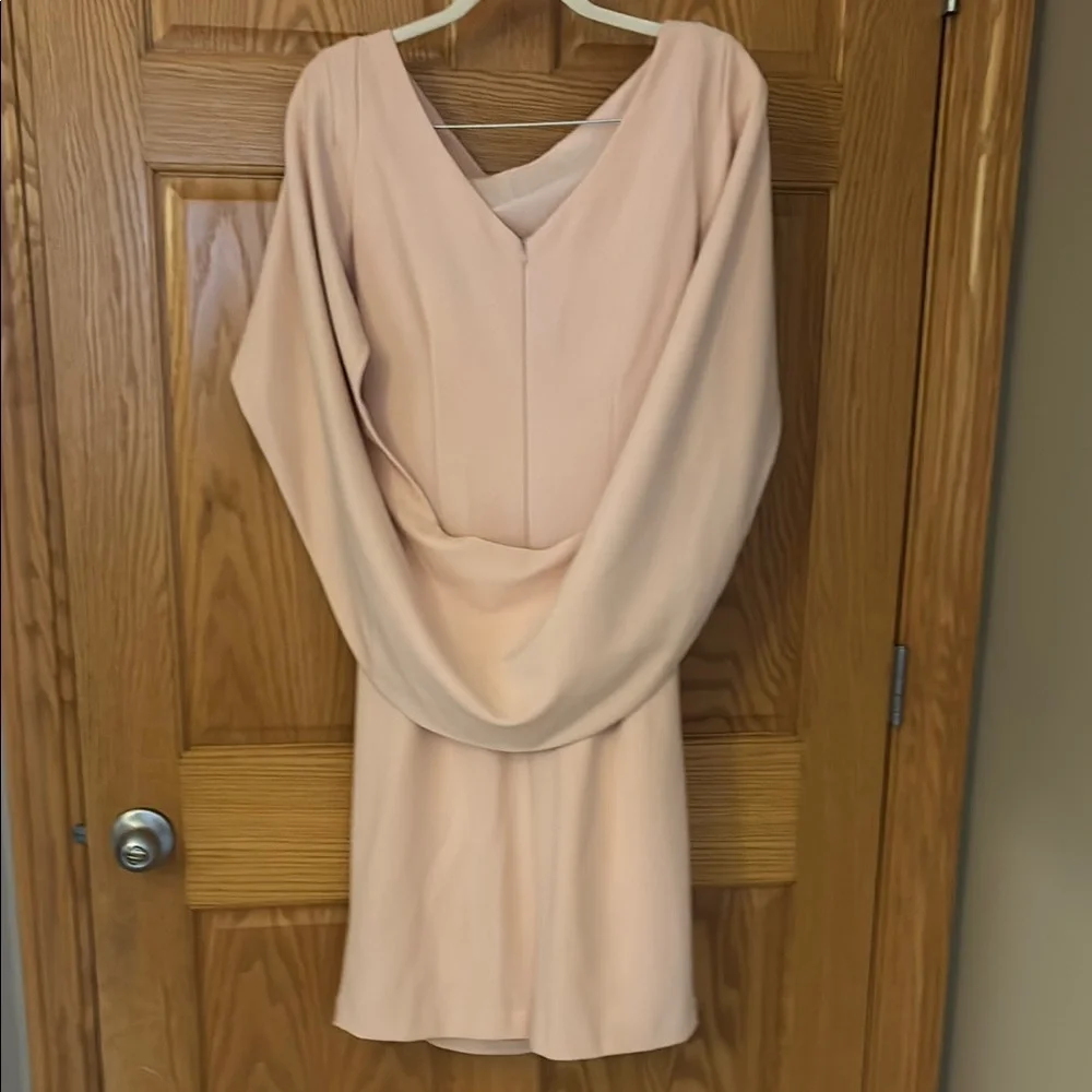 Betsy & Adam Pink Midi Dress - Picture 5 of 9